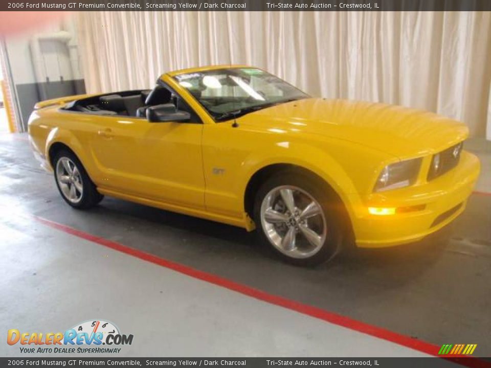 2006 Ford Mustang GT Premium Convertible Screaming Yellow / Dark Charcoal Photo #12