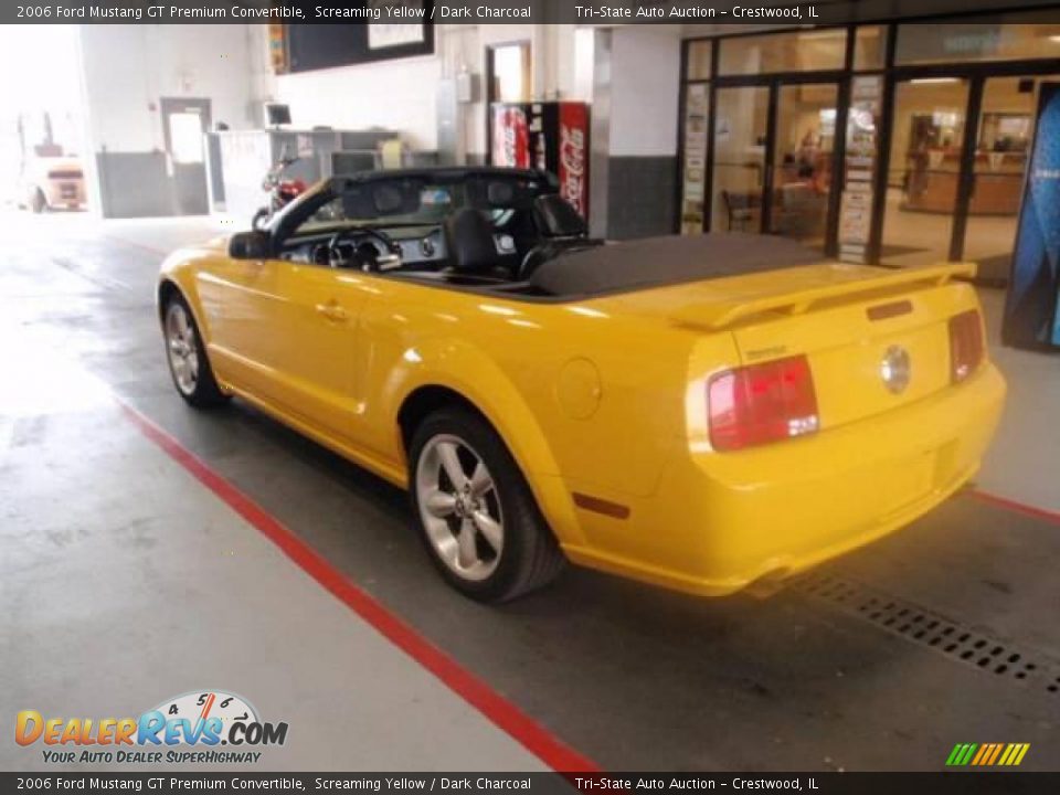 2006 Ford Mustang GT Premium Convertible Screaming Yellow / Dark Charcoal Photo #14