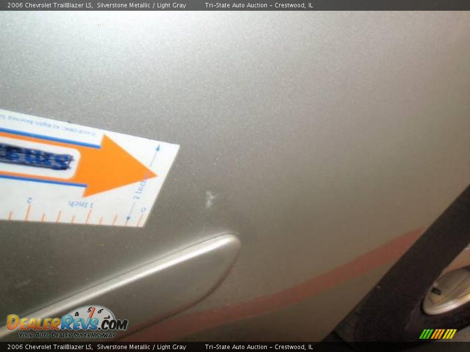 2006 Chevrolet TrailBlazer LS Silverstone Metallic / Light Gray Photo #10