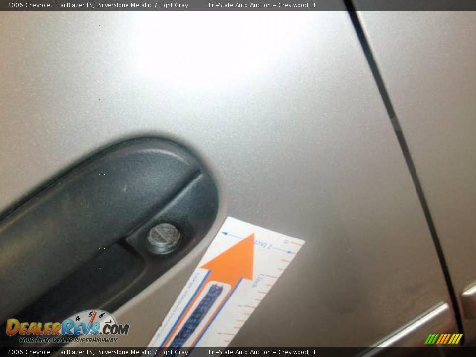 2006 Chevrolet TrailBlazer LS Silverstone Metallic / Light Gray Photo #13