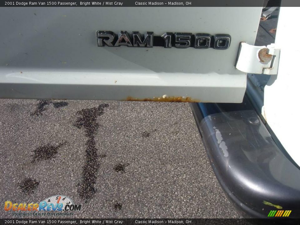 2001 Dodge Ram Van 1500 Passenger Bright White / Mist Gray Photo #5