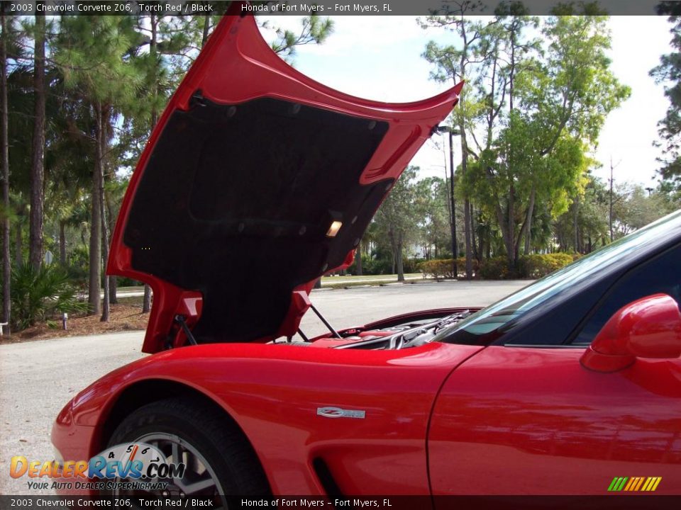 2003 Chevrolet Corvette Z06 Torch Red / Black Photo #12