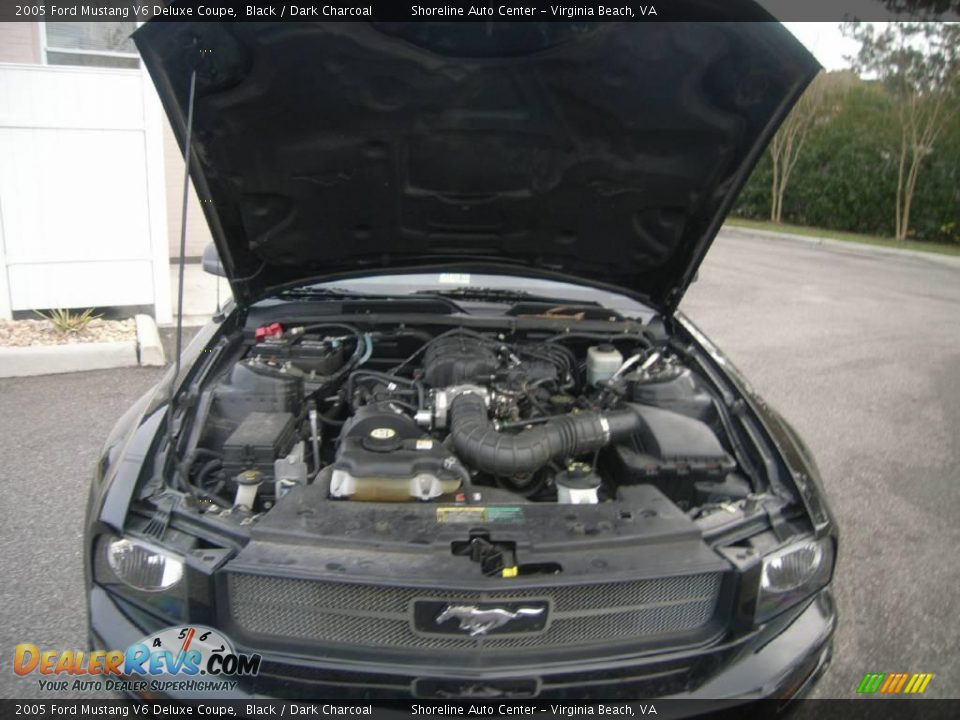 2005 Ford Mustang V6 Deluxe Coupe Black / Dark Charcoal Photo #12