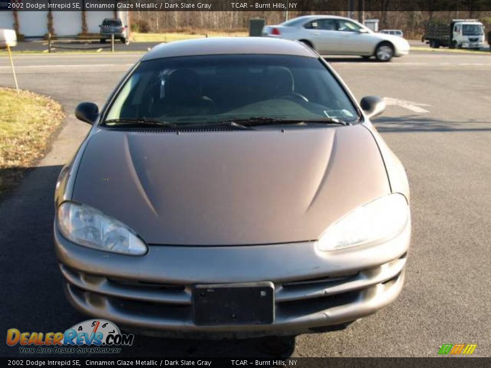 2002 Dodge Intrepid SE Cinnamon Glaze Metallic / Dark Slate Gray Photo #3