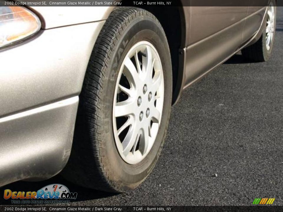 2002 Dodge Intrepid SE Cinnamon Glaze Metallic / Dark Slate Gray Photo #6