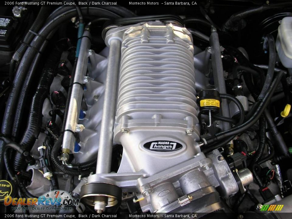 2006 Ford Mustang GT Premium Coupe Black / Dark Charcoal Photo #29