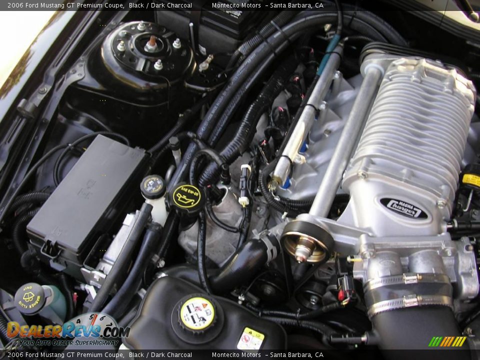 2006 Ford Mustang GT Premium Coupe Black / Dark Charcoal Photo #30