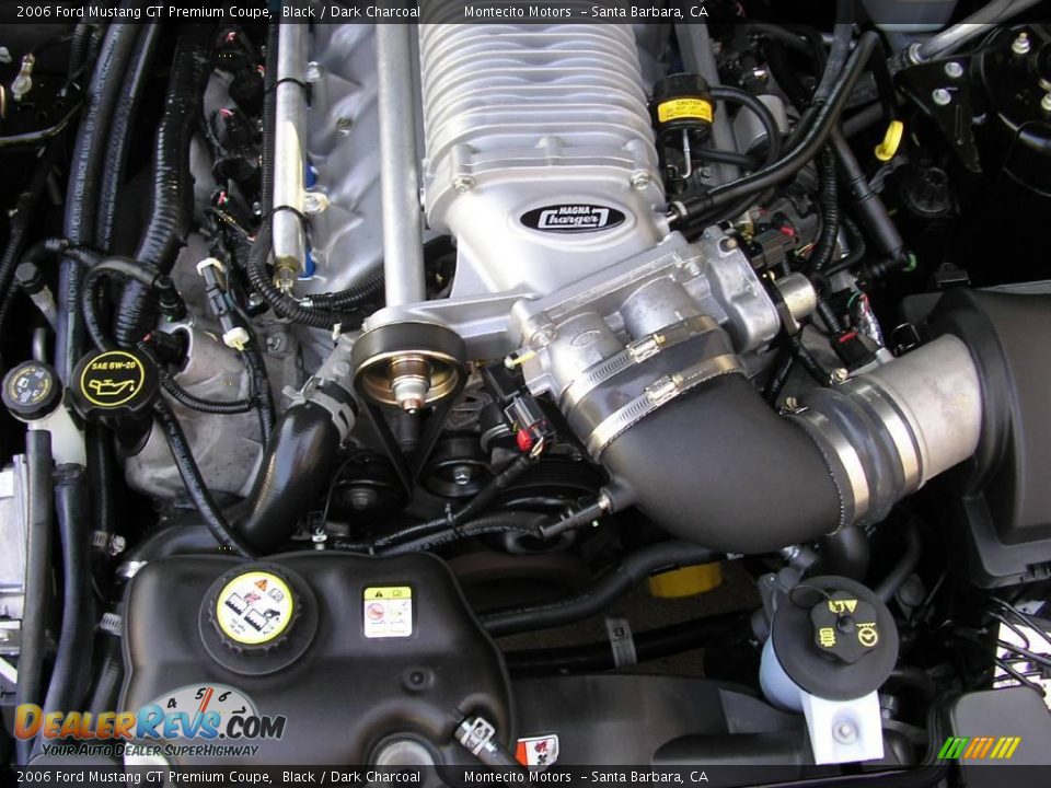 2006 Ford Mustang GT Premium Coupe Black / Dark Charcoal Photo #31