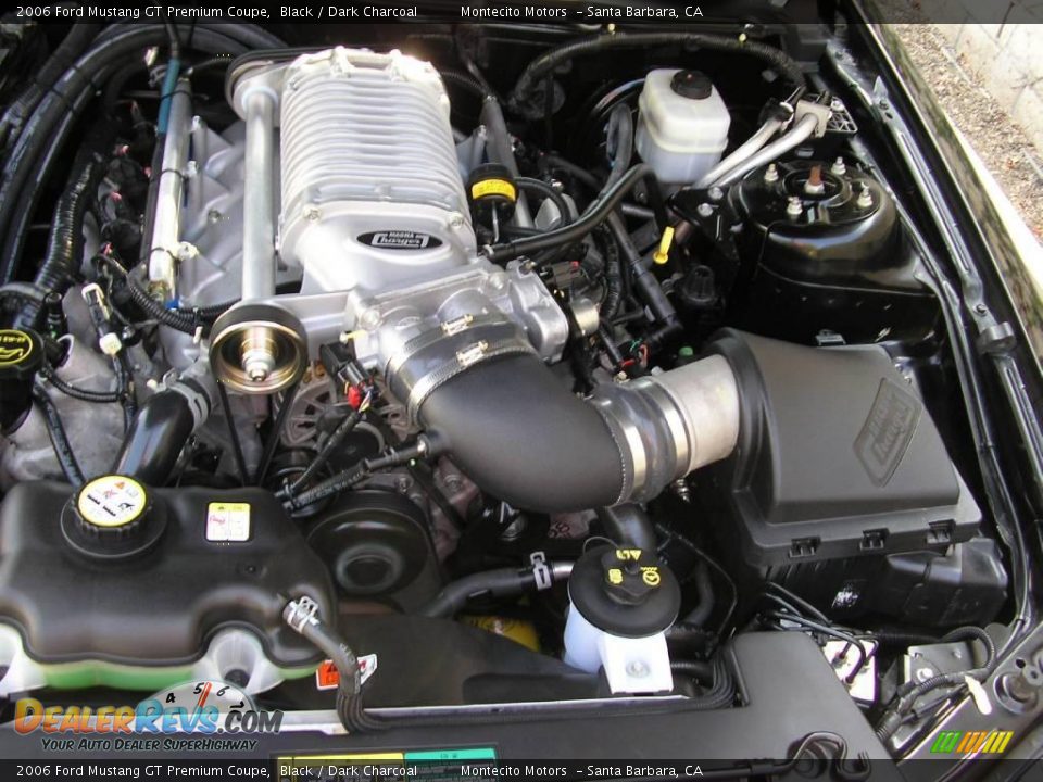 2006 Ford Mustang GT Premium Coupe Black / Dark Charcoal Photo #33