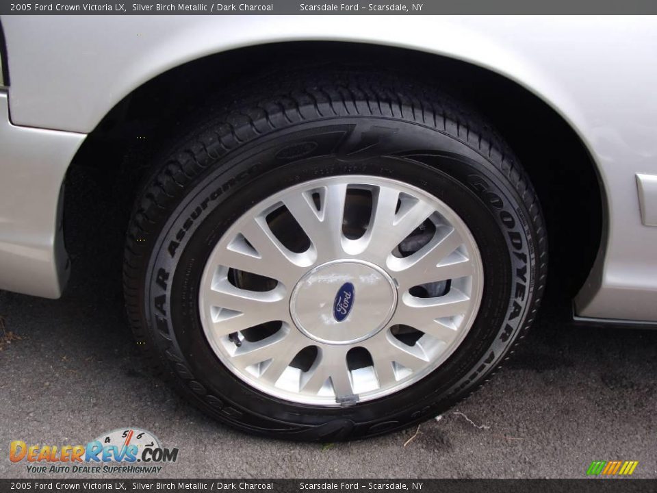 2005 Ford Crown Victoria LX Silver Birch Metallic / Dark Charcoal Photo #9