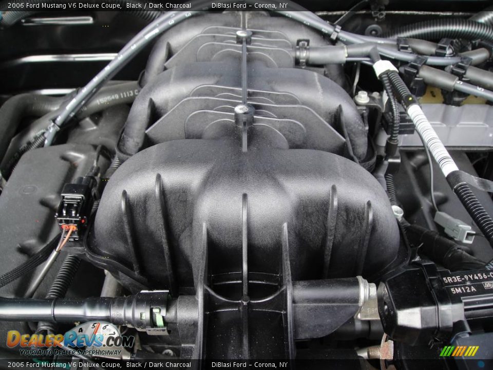 2006 Ford Mustang V6 Deluxe Coupe Black / Dark Charcoal Photo #10