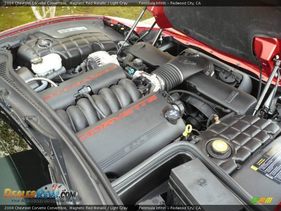 2004 Chevrolet Corvette Convertible Magnetic Red Metallic / Light Gray Photo #20