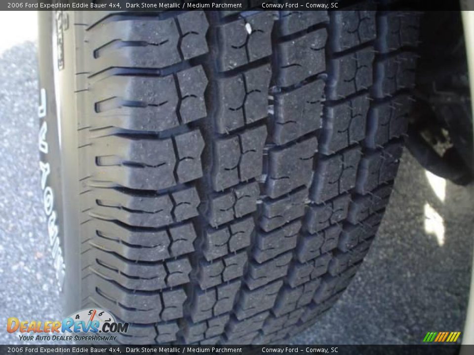 2006 Ford Expedition Eddie Bauer 4x4 Dark Stone Metallic / Medium Parchment Photo #10