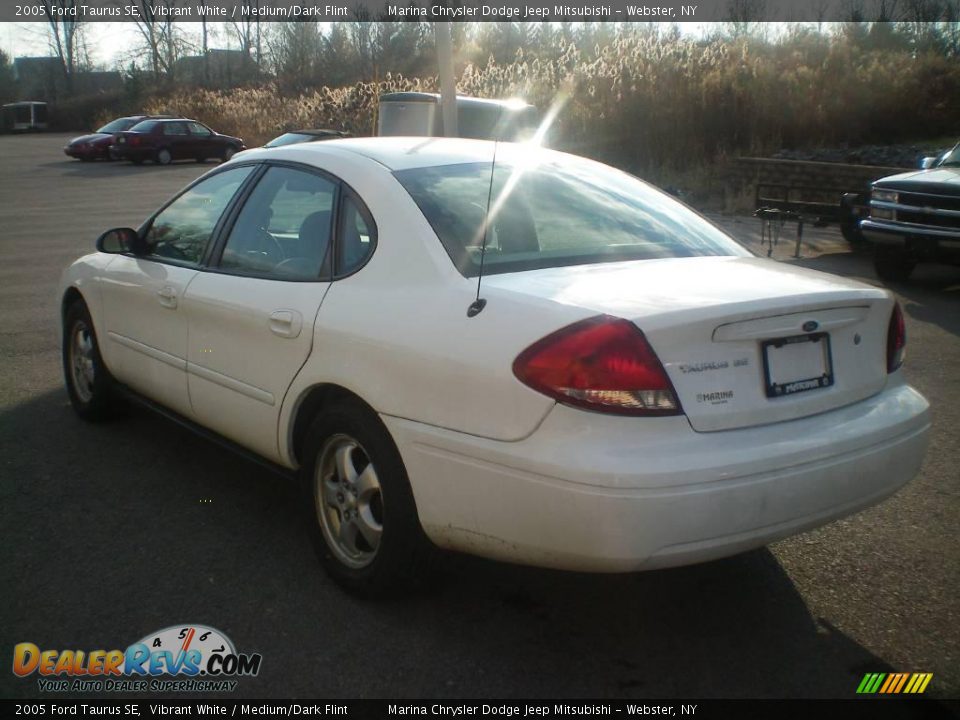 2005 Ford Taurus SE Vibrant White / Medium/Dark Flint Photo #8