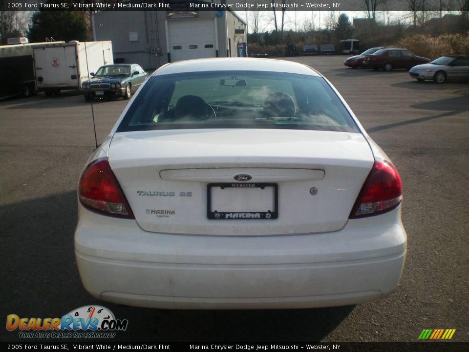2005 Ford Taurus SE Vibrant White / Medium/Dark Flint Photo #9