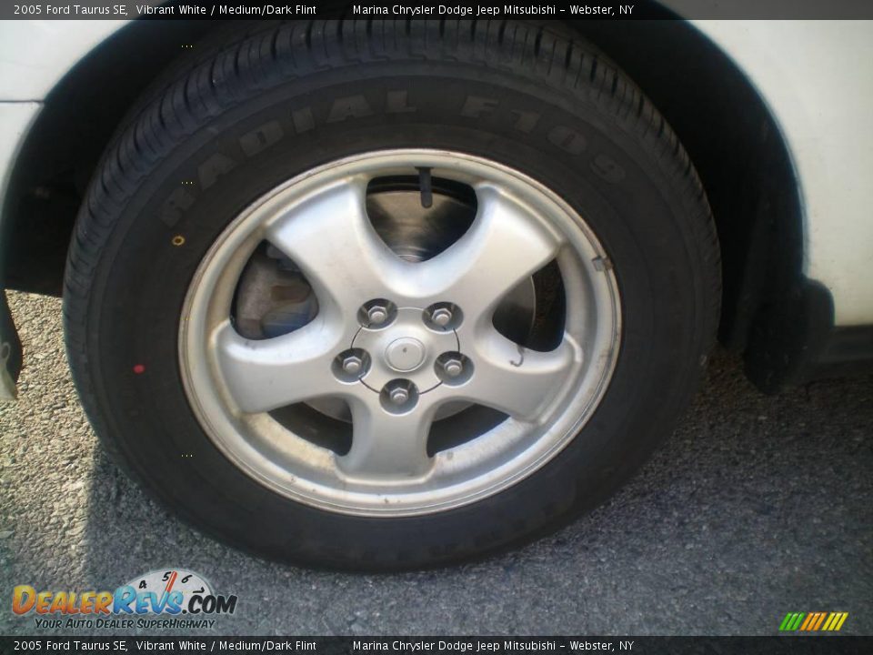 2005 Ford Taurus SE Vibrant White / Medium/Dark Flint Photo #22