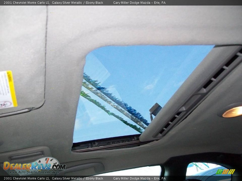 2001 Chevrolet Monte Carlo LS Galaxy Silver Metallic / Ebony Black Photo #10