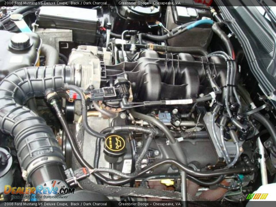 2008 Ford Mustang V6 Deluxe Coupe Black / Dark Charcoal Photo #20