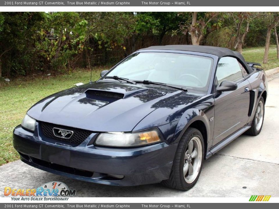 2001 Ford Mustang GT Convertible True Blue Metallic / Medium Graphite Photo #1