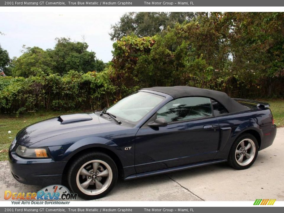2001 Ford Mustang GT Convertible True Blue Metallic / Medium Graphite Photo #3