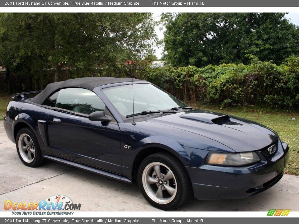 2001 Ford Mustang GT Convertible True Blue Metallic / Medium Graphite Photo #13