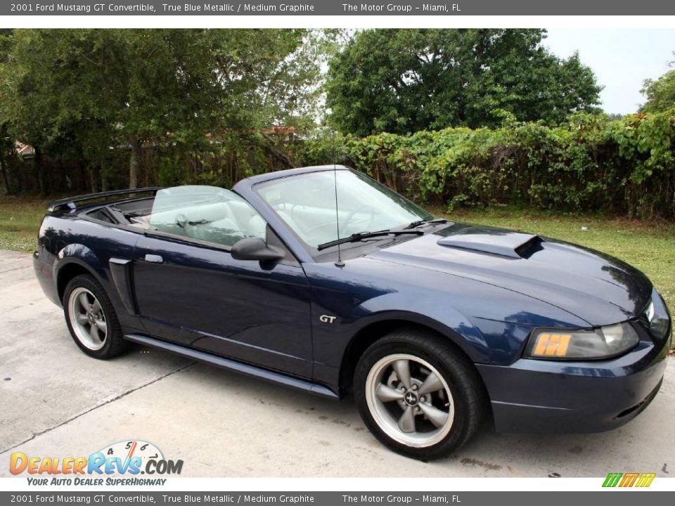 2001 Ford Mustang GT Convertible True Blue Metallic / Medium Graphite Photo #18