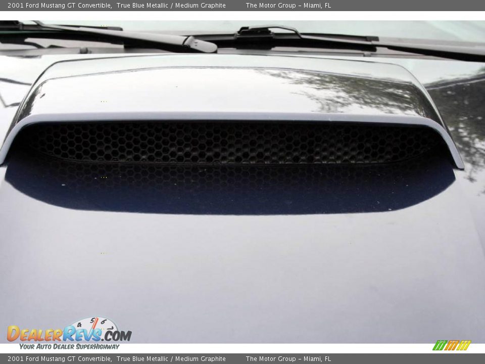 2001 Ford Mustang GT Convertible True Blue Metallic / Medium Graphite Photo #25