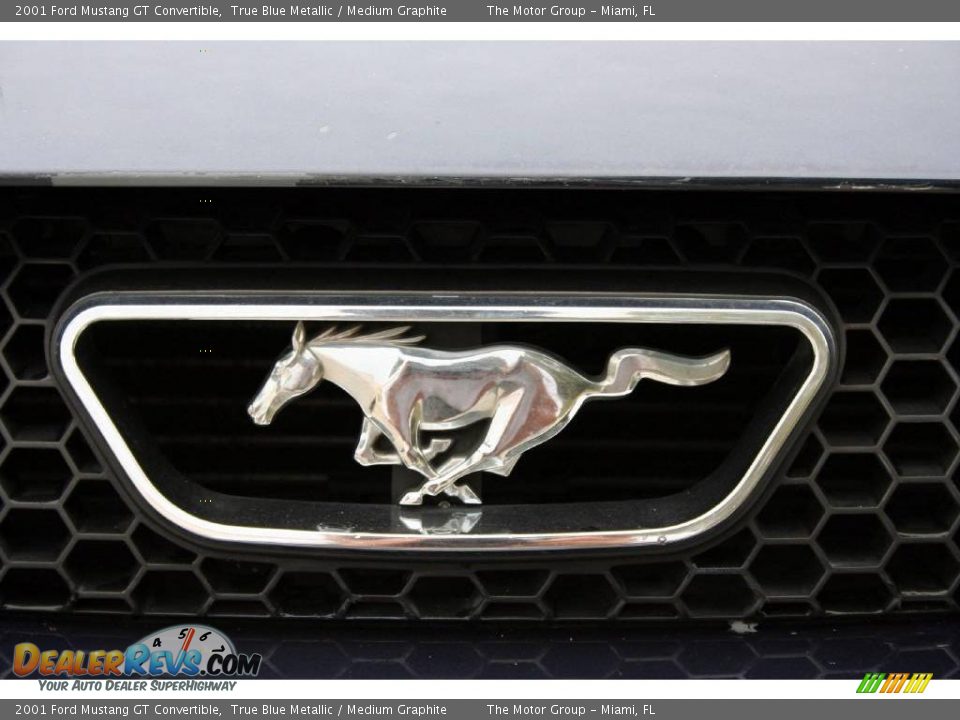 2001 Ford Mustang GT Convertible True Blue Metallic / Medium Graphite Photo #26