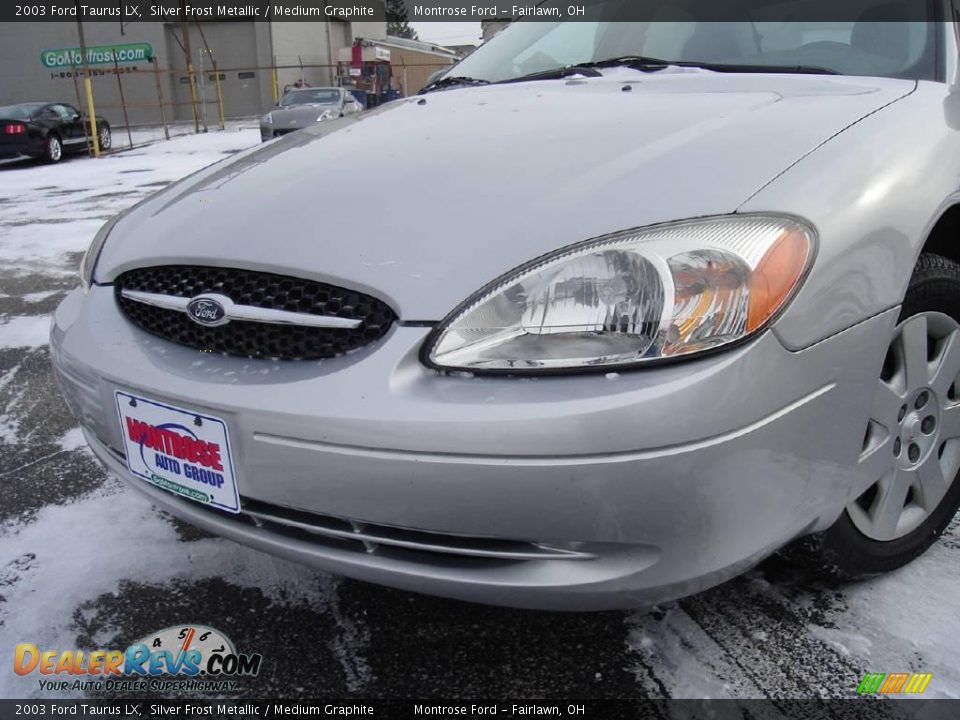 2003 Ford Taurus LX Silver Frost Metallic / Medium Graphite Photo #9