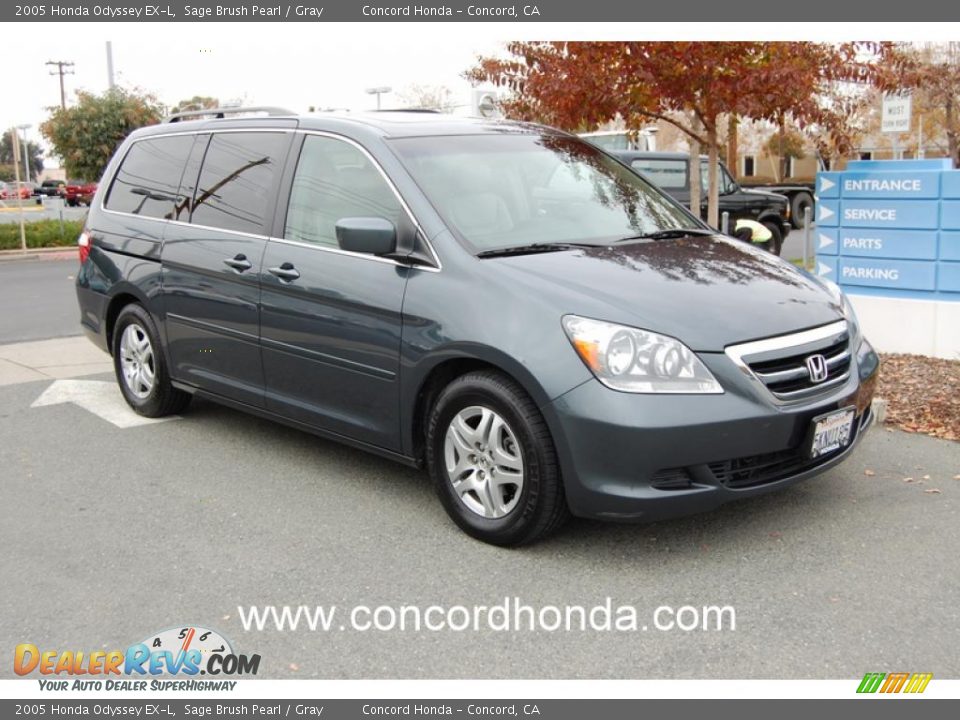 2005 Honda Odyssey EX-L Sage Brush Pearl / Gray Photo #1