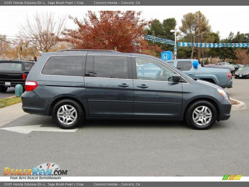 2005 Honda Odyssey EX-L Sage Brush Pearl / Gray Photo #2
