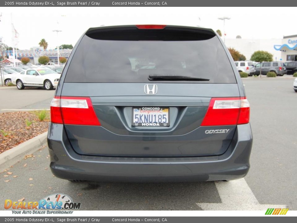 2005 Honda Odyssey EX-L Sage Brush Pearl / Gray Photo #4