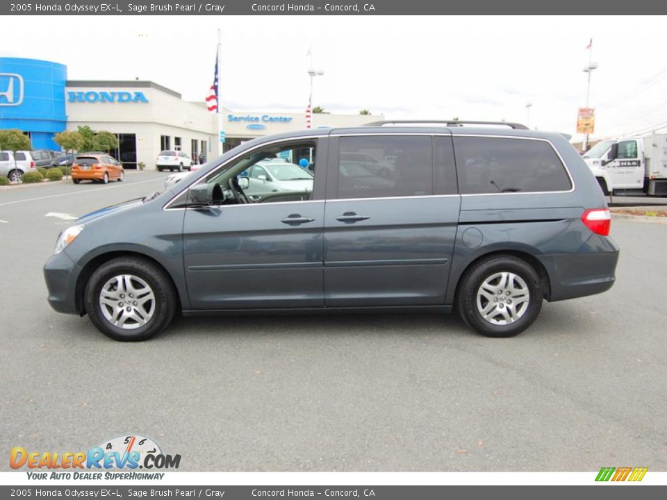 2005 Honda Odyssey EX-L Sage Brush Pearl / Gray Photo #6