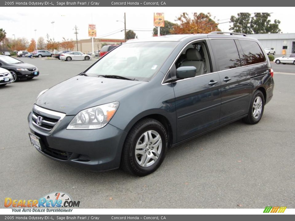 2005 Honda Odyssey EX-L Sage Brush Pearl / Gray Photo #7