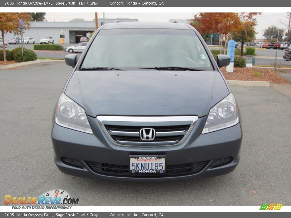 2005 Honda Odyssey EX-L Sage Brush Pearl / Gray Photo #8