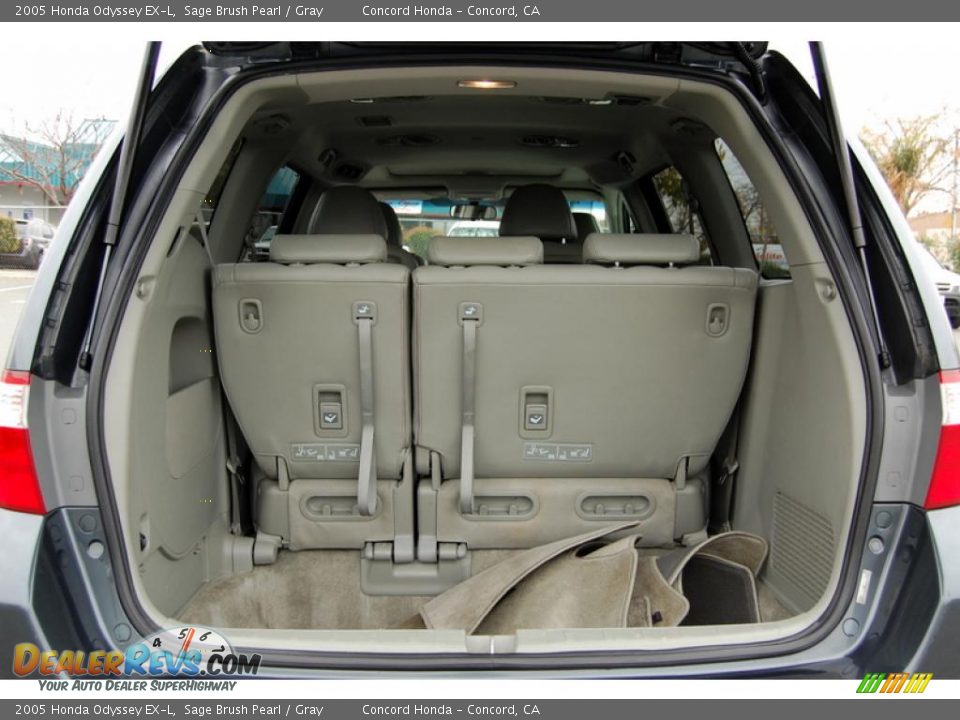 2005 Honda Odyssey EX-L Sage Brush Pearl / Gray Photo #10