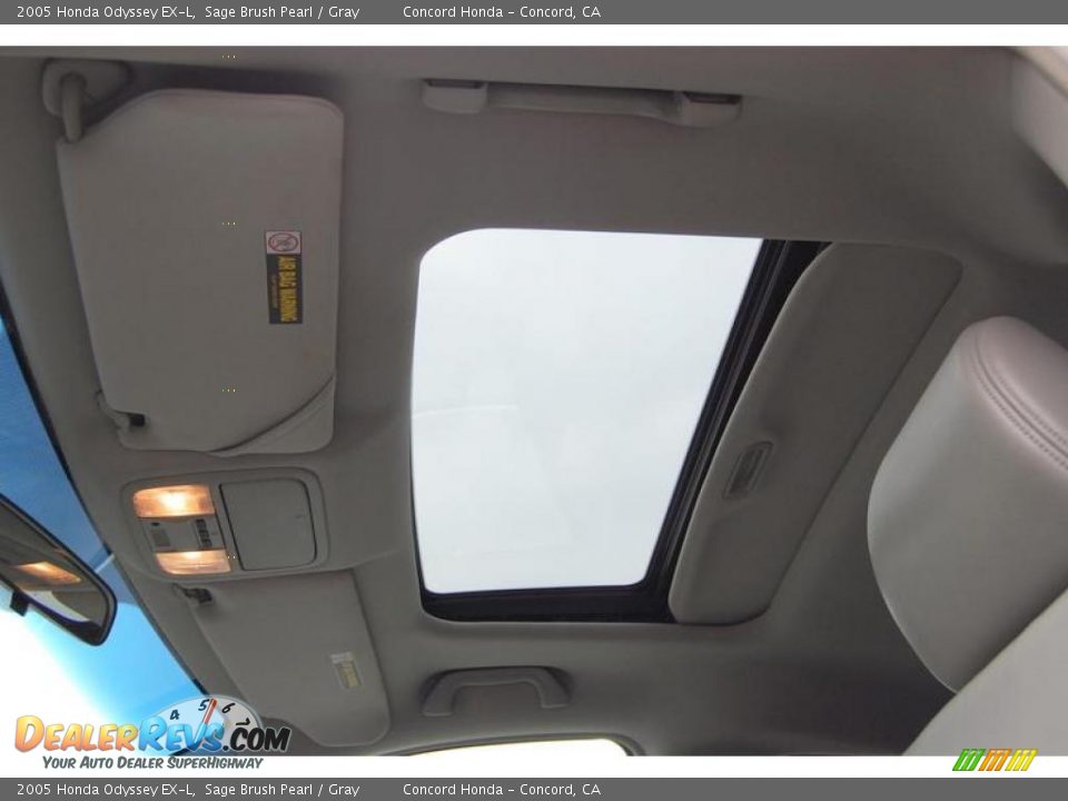 2005 Honda Odyssey EX-L Sage Brush Pearl / Gray Photo #21