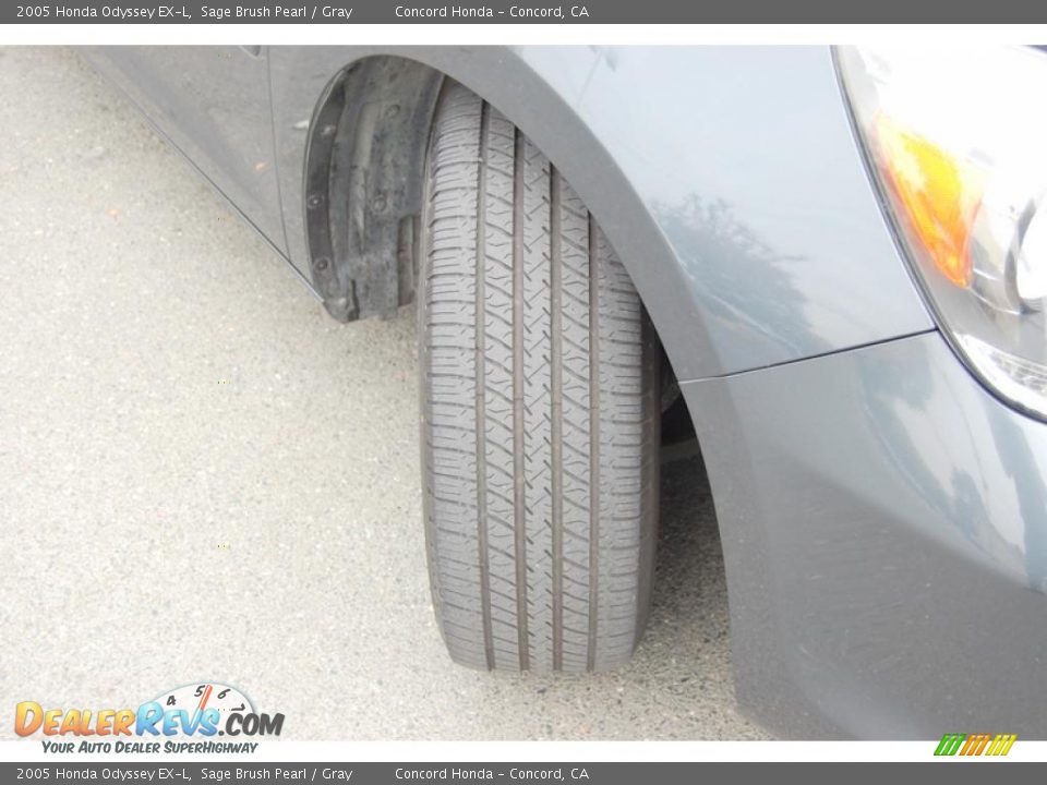 2005 Honda Odyssey EX-L Sage Brush Pearl / Gray Photo #24