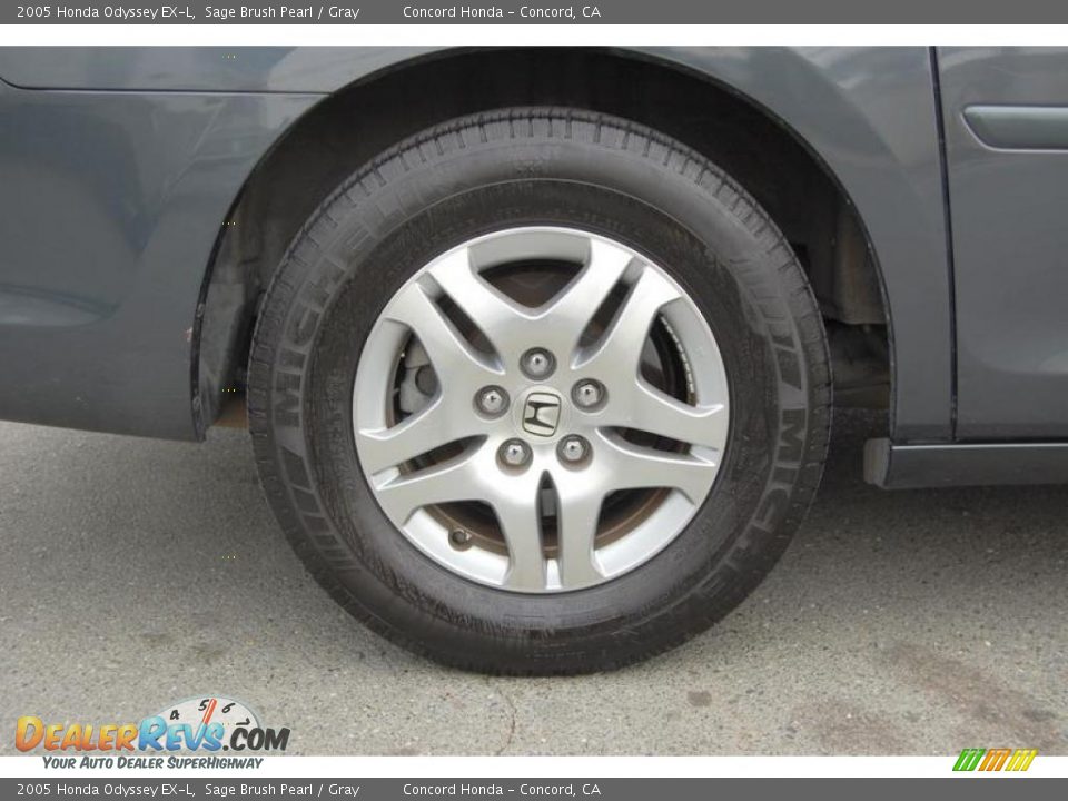 2005 Honda Odyssey EX-L Sage Brush Pearl / Gray Photo #25