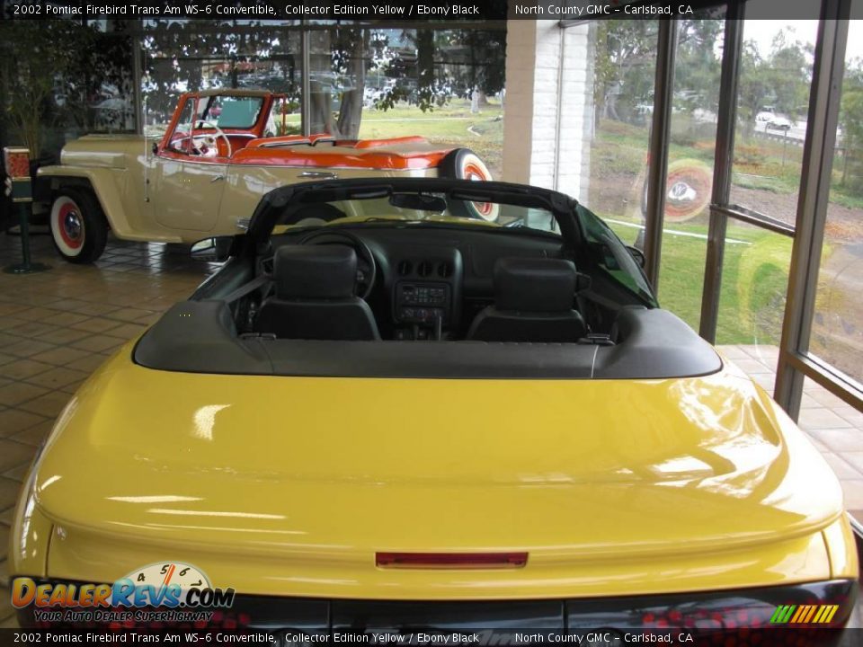 2002 Pontiac Firebird Trans Am WS-6 Convertible Collector Edition Yellow / Ebony Black Photo #4