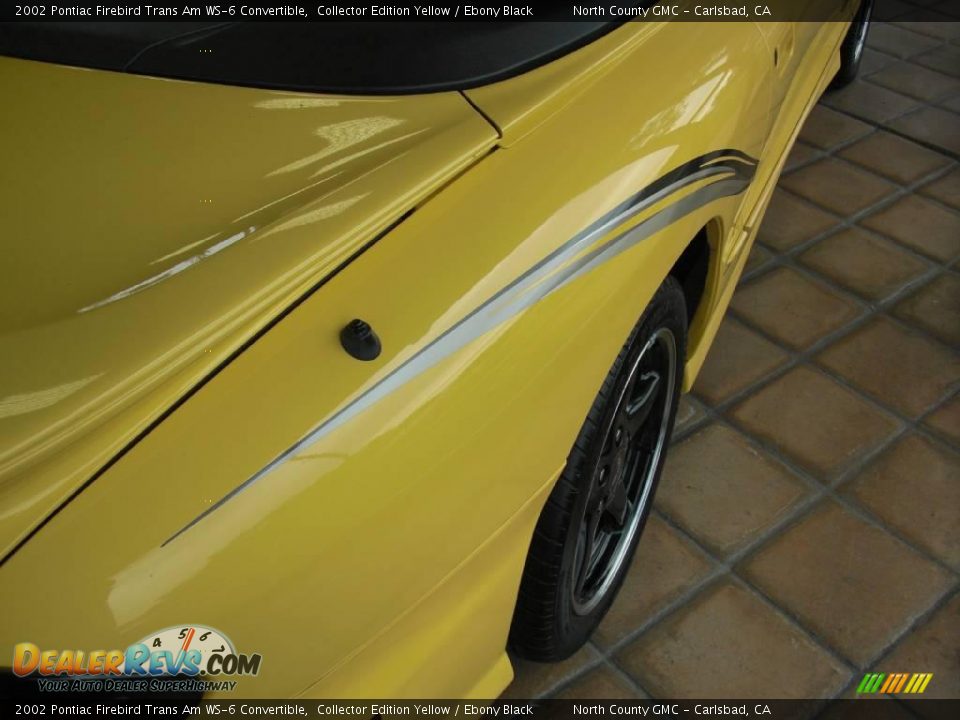 2002 Pontiac Firebird Trans Am WS-6 Convertible Collector Edition Yellow / Ebony Black Photo #6