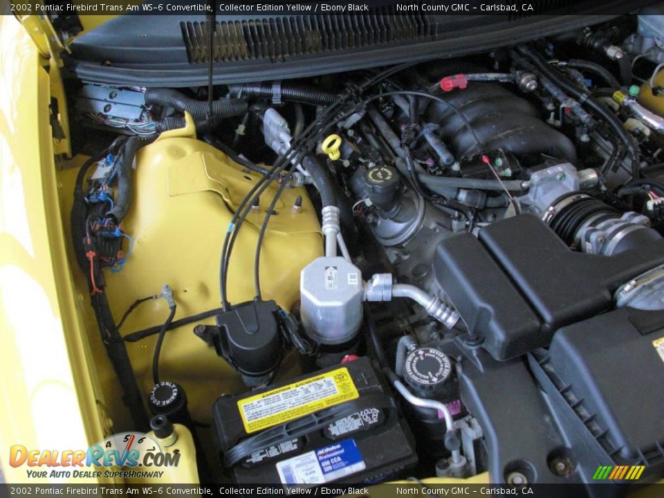 2002 Pontiac Firebird Trans Am WS-6 Convertible Collector Edition Yellow / Ebony Black Photo #25