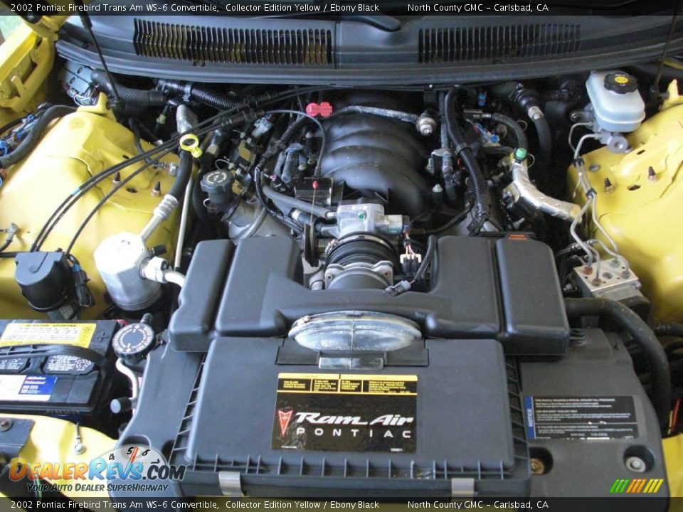 2002 Pontiac Firebird Trans Am WS-6 Convertible Collector Edition Yellow / Ebony Black Photo #26