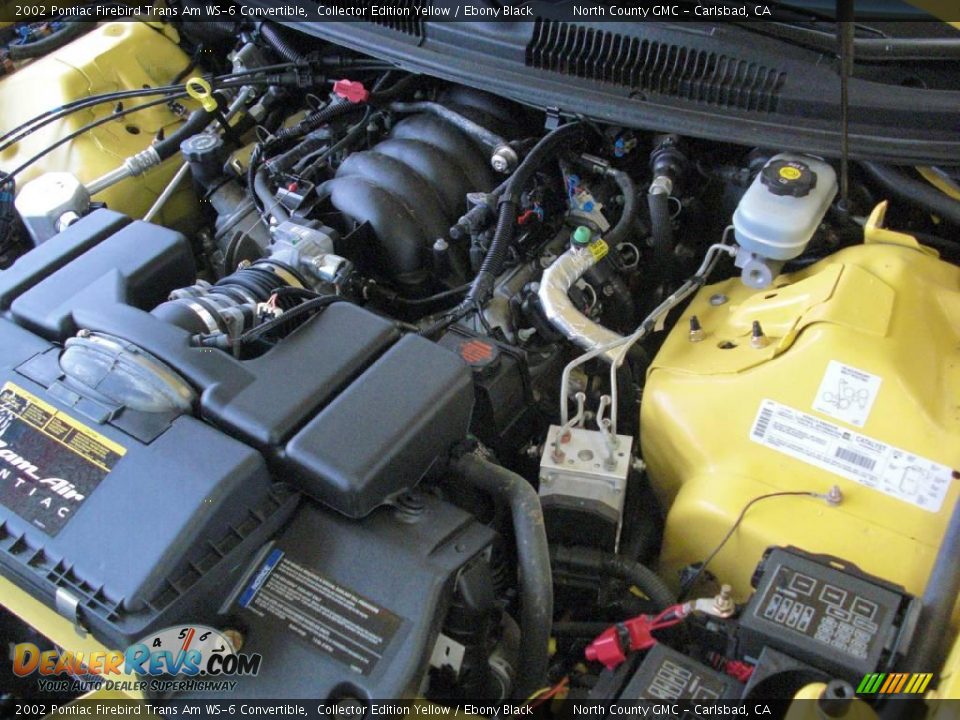 2002 Pontiac Firebird Trans Am WS-6 Convertible Collector Edition Yellow / Ebony Black Photo #27