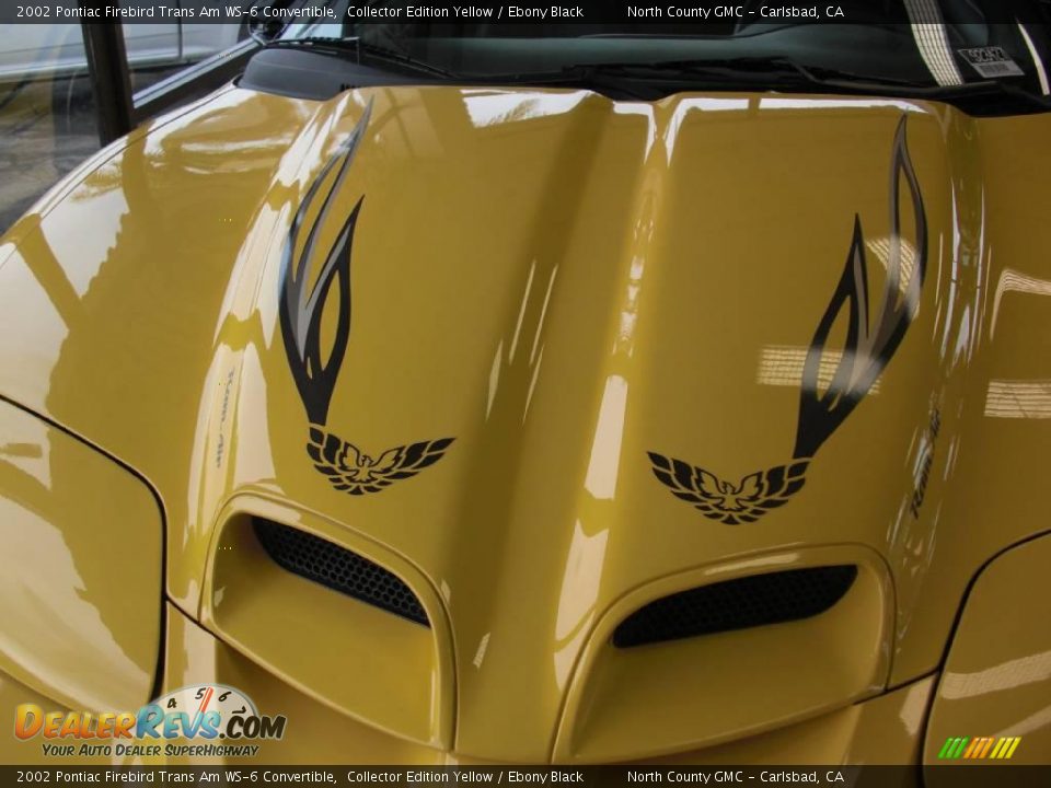2002 Pontiac Firebird Trans Am WS-6 Convertible Collector Edition Yellow / Ebony Black Photo #29