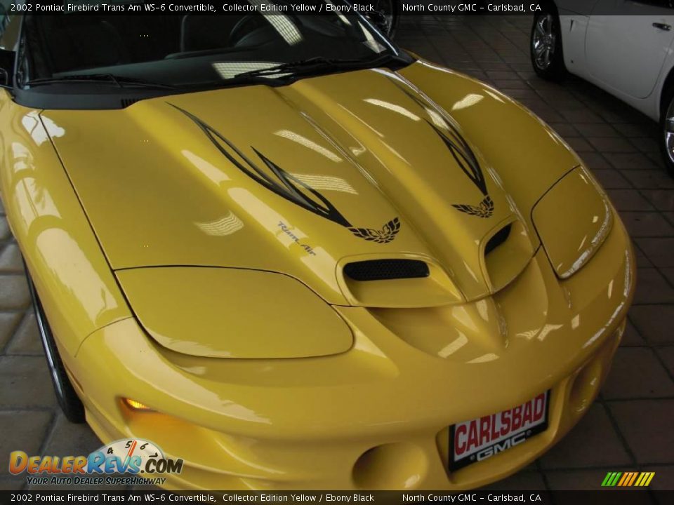 2002 Pontiac Firebird Trans Am WS-6 Convertible Collector Edition Yellow / Ebony Black Photo #30
