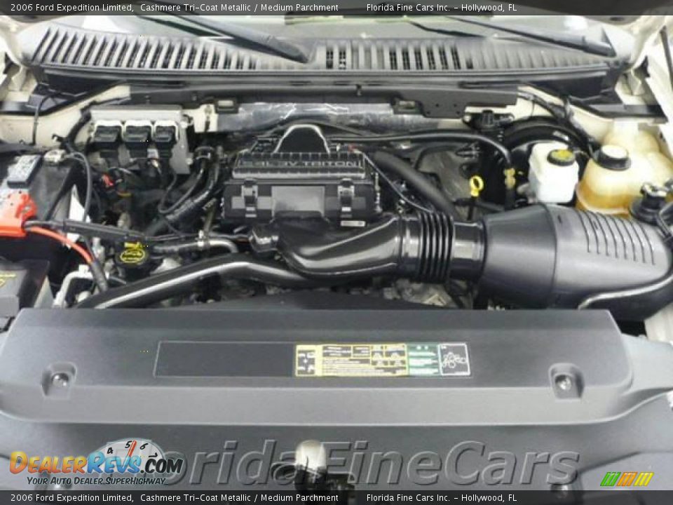 2006 Ford Expedition Limited Cashmere Tri-Coat Metallic / Medium Parchment Photo #9