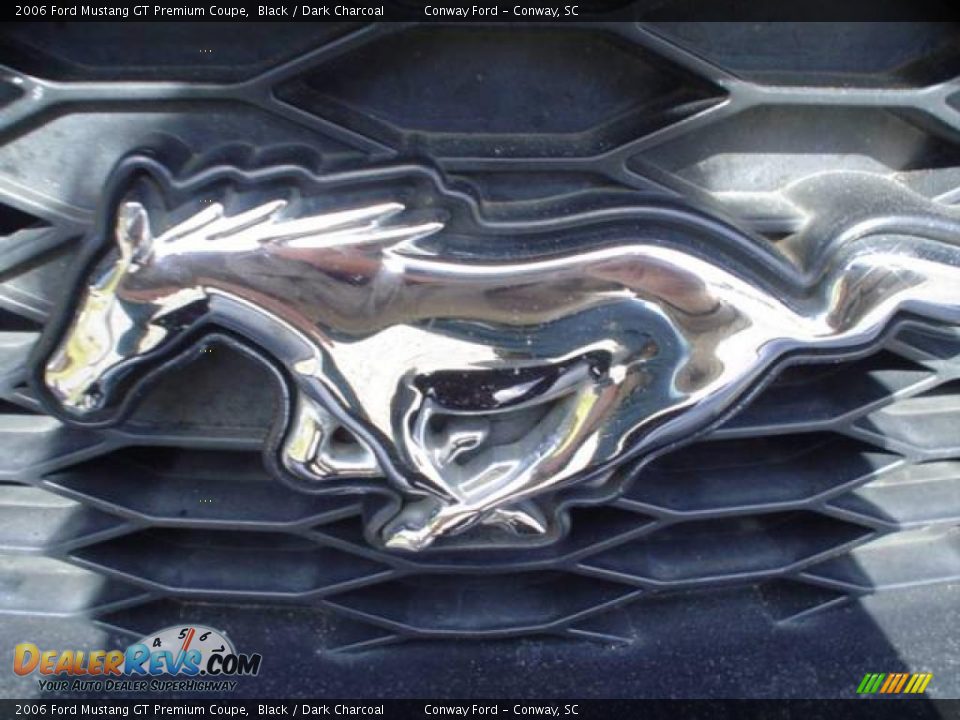 2006 Ford Mustang GT Premium Coupe Black / Dark Charcoal Photo #12