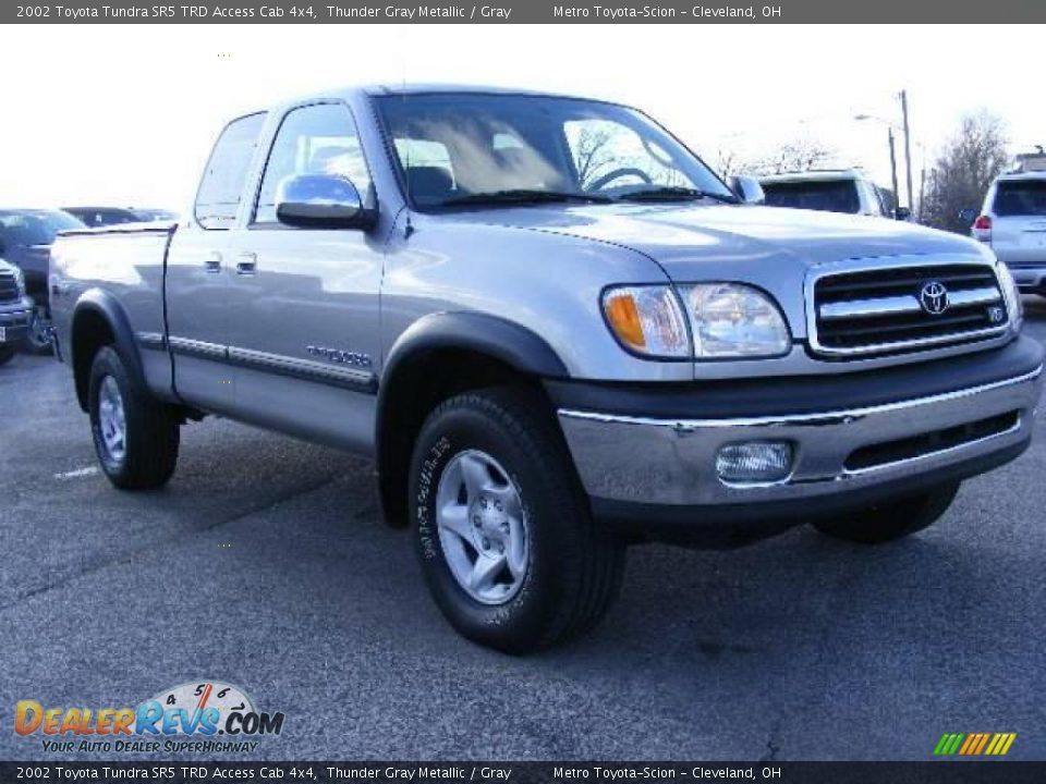 2002 Toyota Tundra SR5 TRD Access Cab 4x4 Thunder Gray Metallic / Gray Photo #1