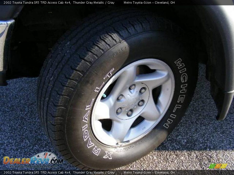2002 Toyota Tundra SR5 TRD Access Cab 4x4 Thunder Gray Metallic / Gray Photo #25